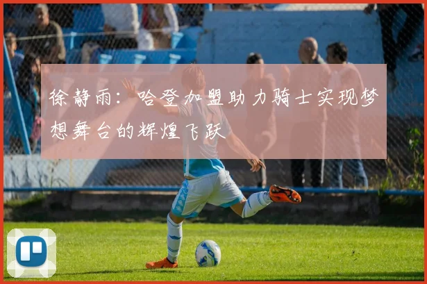 徐静雨：哈登加盟助力骑士实现梦想舞台的辉煌飞跃